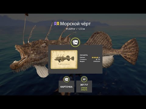 Видео: 📢СТРИМ РР4🔥РЫБНОЕ ДОБРОЕ УТРО НА МОРЕ🔥РУССКАЯ РЫБАЛКА 4