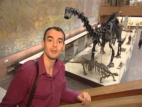 Видео: Палеонтологический музей: 41 из 50 чудес Москвы