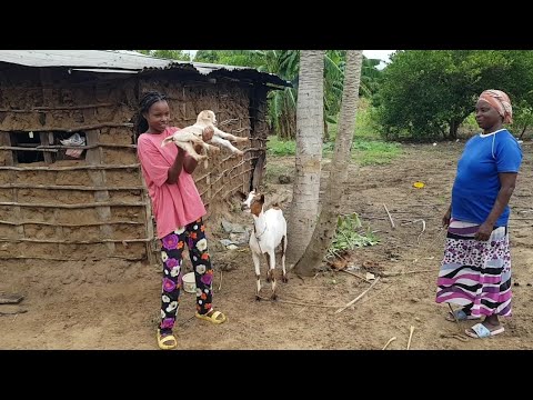 Видео: 126. Афика. Второй день в деревне Хадижи