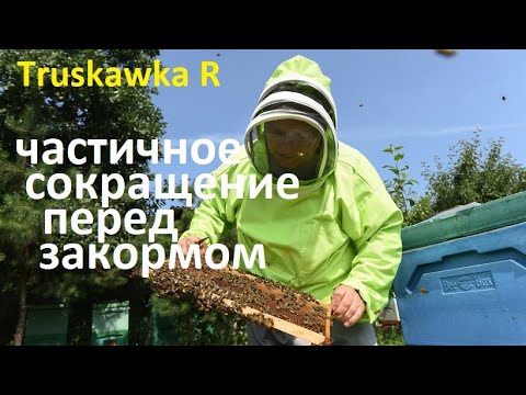 Видео: #Пчёлы. Частичное сокращаем семьи на пасеке. Формируем запасы кормов без ограничения королевы пчёл.