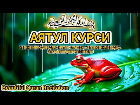 Видео: Красивое чтение Аятуль Курси 10 часов без остановки — Изгнание джиннов и успокоение сердца