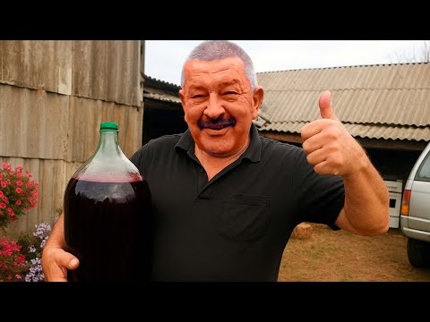 Видео: ВИНО из ВИНОГРАДА, которое ОПАСНО вкусное!