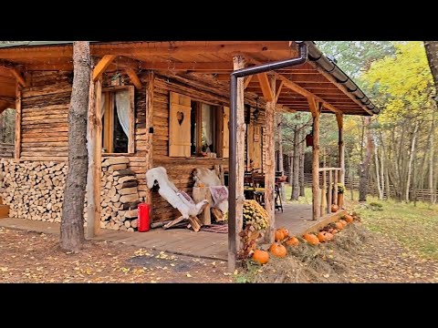 Видео: ЕСЕН В ГОРСКАТА  КЪЩА#извънграда#влог#countrylife#building#loghome#offgrid#autumn#есен#вила#къщичка#