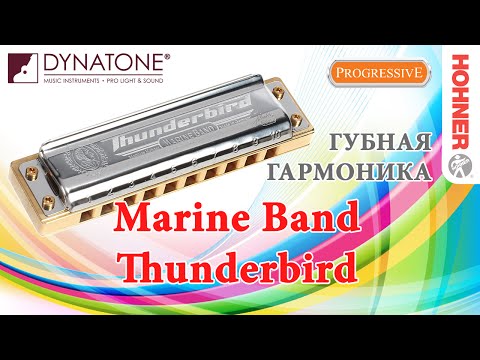 Видео: Обзор губной гармоники Hohner Marine Band Thunderbird