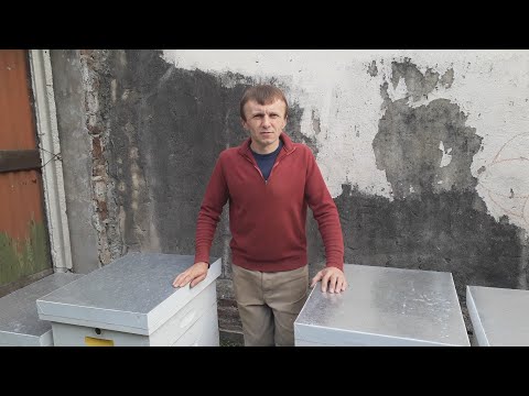 Видео: Эстафета Как я стал пчеловодом \\ Пчеловодство в Аргентине