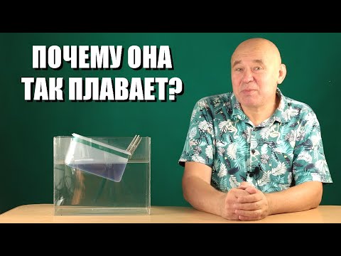 Видео: Почему она так плавает?
