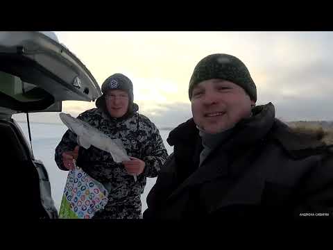 Видео: Этот ратлин на судака с AliExpress снова в деле.Первая рыбалка в 2023 году!!