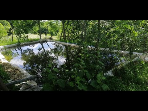 Видео: Ставок,копанка на присадибні ділянці