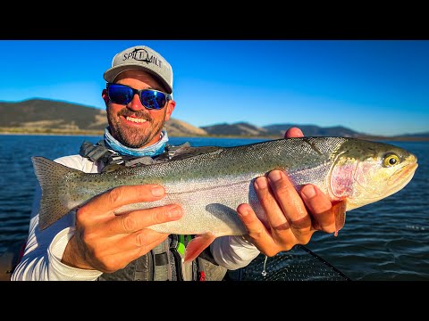 Видео: Радужная форель в грязной воде