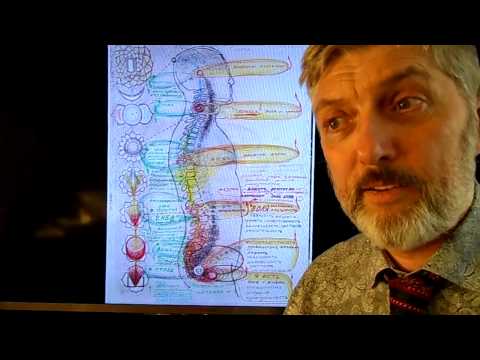 Видео: Управление умом человека: пути Паврите и Неврите ч 1