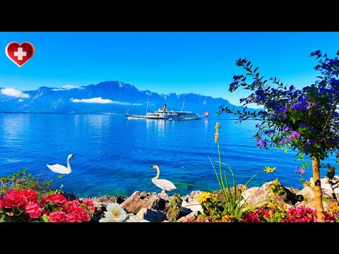 Видео: Прекрасный вид на озеро Монтрё 🇨🇭 Цветы, горы и расслабляющая прогулка [4K]