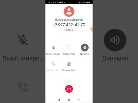 Видео: звоню блогерам