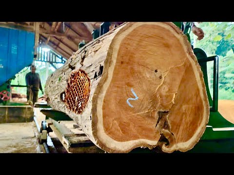 Видео: Мы выполняем опасную работу, но очень приятно видеть красоту тикового дерева на лесопилке.