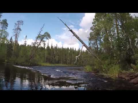 Видео: Пороги, шиверы-9 ЧАСТЬ