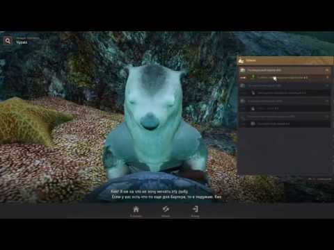 Видео: Black Desert online.Торговец Выдра/Цветные кораллы/Сундучки,как все это найти!