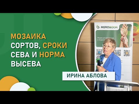 Видео: Мозаика сортов, сроки сева и норма высева: на что обратить внимание перед посевной в засуху?