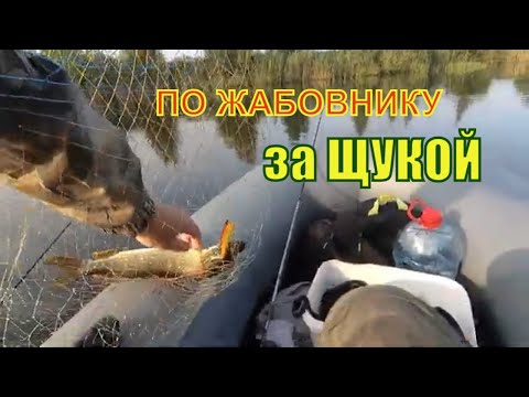 Видео: Ловля щуки в жабовнике. Рыбалка на вертушку и поппер.
