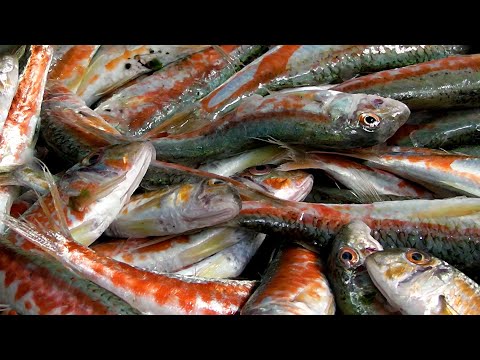 Видео: Барабулька вяленая. Деликатес Чёрного моря.