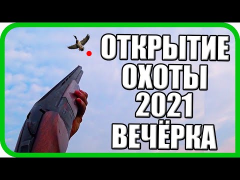 Видео: ОТКРЫТИЕ ОХОТЫ 2021: ТАК ПО УТКАМ Я ЕЩЁ НЕ СТРЕЛЯЛ!