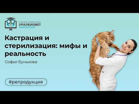 Видео: Кастрация и стерилизация:  мифы и реальность.  Лектор Софья Бунькова