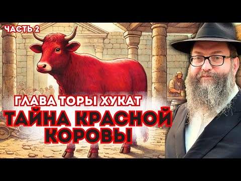 Видео: Глава Торы  ХУКАТ часть 2 | ТОРА-БАЙТЫ |Комментарии к недельной главе | Лекции Байтмана