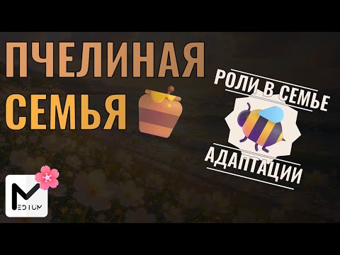 Видео: Роли в пчелиной семье & Адаптации пчел для ЕГЭ по биологии