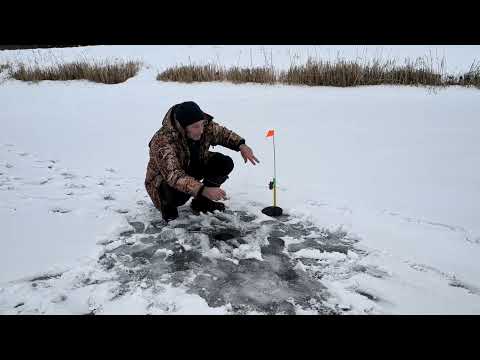 Видео: Рыбалка на жерлицы в глухозимье МЕГА УЛОВ!