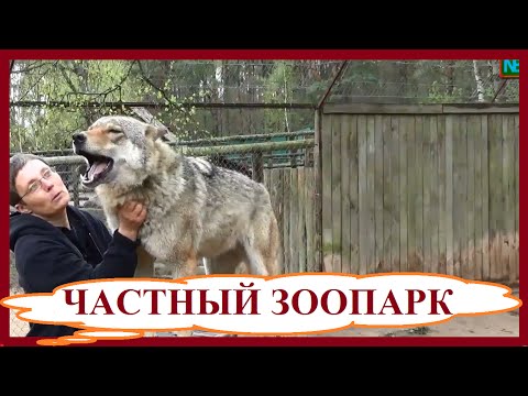 Видео: Зооград. Частный зоопарк. Пушкинские горы.