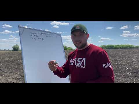 Видео: Живлення кукурудзи🌽