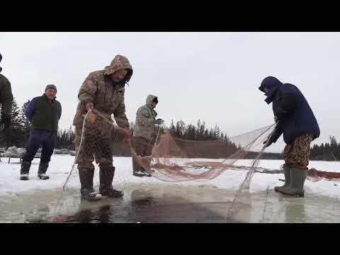 Видео: Мунха БСОШ-2024