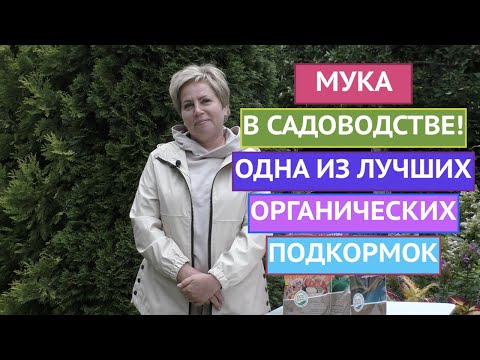 Видео: МУКА В ОГОРОДЕ: КАК ПРИМЕНЯТЬ И КАКУЮ ВЗЯТЬ!