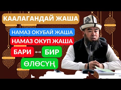 Видео: КААЛАГАНДАЙ ЖАША! БИРОК КАНТИП ЖООП БЕРЕСИҢ? ТУУРА ЖОЛДУ ТАНДА ТУУГАНЫМ! Устаз Эрмек Тынай Ажы уулу