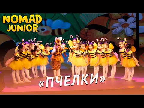 Видео: Танец «Пчелки». Ансамбль «Nomad»/группа «Ягодки». NOMAD JUNIOR/НОМАД ДЖУНИОР