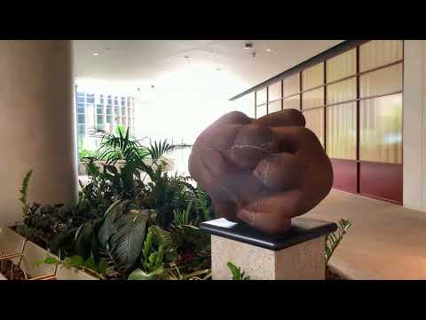 Видео: COOL BRISBANE CITY! Крутой Брисбен. Сижу в Шоке на обратном пути..