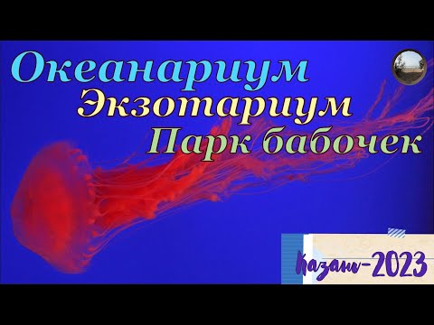 Видео: Океанариум, экзотариум и Парк бабочек в Казани