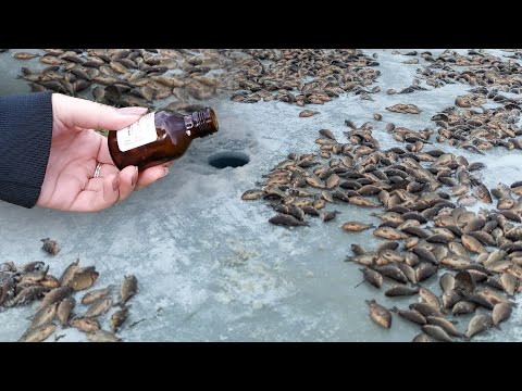 Видео: Я ОБАЛДЕЛ! ВСЯ РЫБА ЗИМОЙ КЛЮЁТ НА ЭТО! СИЛЬНЕЕ ЛЮБОГО АКТИВАТОРА КЛЁВА И ПРИКОРМКИ!