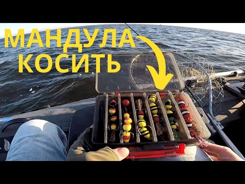 Видео: Час МАНДУЛИ НАСТАВ , Судак на мандули клює в заглот, Рибалка