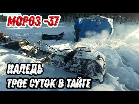 Видео: РЫБАЛКА на лесном ОЗЕРЕ. 3 МОРОЗНЫХ ночи в ПАЛАТКЕ. БУКСИРОВЩИК ЗАМЕРЗ.