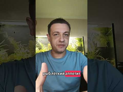 Видео: Лечебный корм для рыб