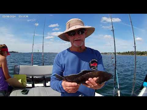 Видео: Поймать несколько красных люцианов и черных морских окуней в трудный день у берега 25.10.25.