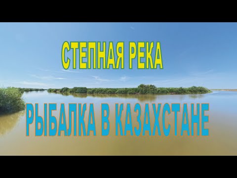 Видео: Рыбалка в УЯЛАХ, р НУРА, дорога есть, спиннинг, донки и живец - рыболовное троеборье)