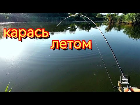 Видео: Мормышинг. Ловлю карася на спиннинг летом.