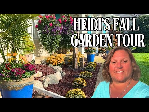 Видео: Осенний сад засиял 🍂 Правда о моих ландшафтных спорах