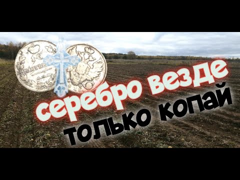 Видео: №138 СЕРЕБРО ВЕЗДЕ, ТОЛЬКО КОПАЙ. ПОИСК СТАРИНЫ С ЭКВИНОКС 800. КОП 2022.