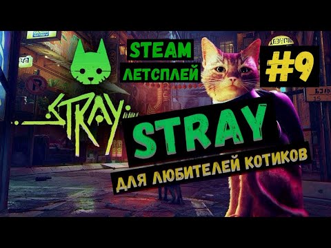 Видео: Дружба с дронами не получилась / Steam ЛЕТСПЛЕЙ / GAMEPLAY / STRAY / Игра для любителей котиков / #9