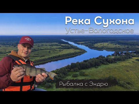 Видео: Рыбалка на реке Сухона. Устье-Вологодское. Хороший окунь ))
