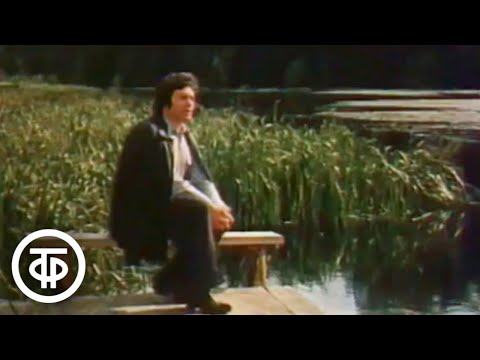 Видео: Столько чувства в напеве родном... Поет Константин Плужников (1984)