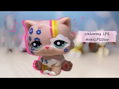 Видео: Распаковка LPS из магазина MiniLPSShop | Unboxing LPS