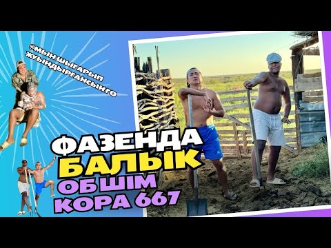 Видео: Тауасар екеуміз менім фазаендамдамыз Балық устап қора тазалап 😅