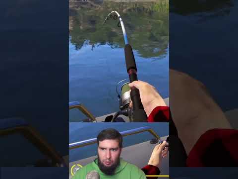 Видео: 🐠ТОПОВЫЙ УЛОВ🤩 #русскаярыбалка4 #рр4 #russianfishing4